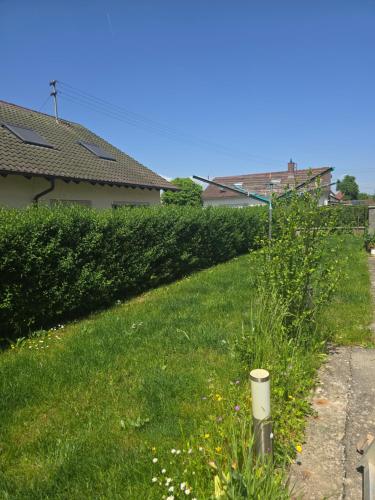 a grassy yard with a pole in the grass at Haus Motorsport in Bad Saulgau
