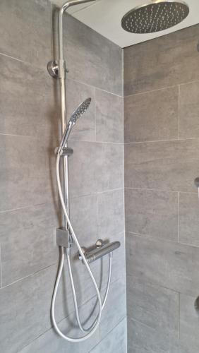 a shower with a shower head in a bathroom at Vakantiewoning Blauhûs in Surhuisterveen