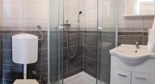 a bathroom with a shower and a toilet and a sink at City Apartments in Trebinje