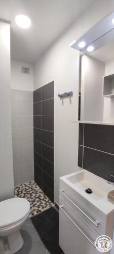 a bathroom with a white toilet and a sink at Le clos bambou in Loueuse