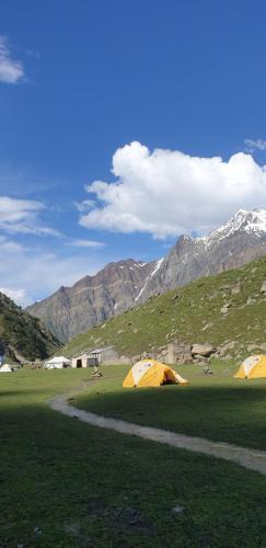two tents in a field with mountains in the background at Hello Rakaposhi Camping Site in Gilgit