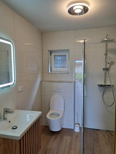 a bathroom with a toilet and a sink and a shower at Drevenica Šumiac in Šumiac