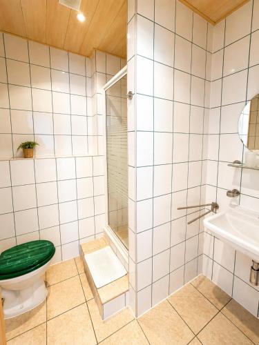 a bathroom with a toilet and a shower at Waldschloss Rathenow in Rathenow