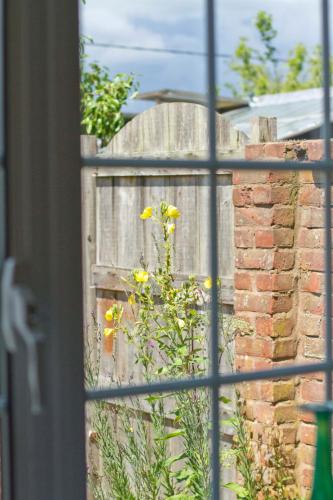 a window view of a wooden fence with yellow flowers at Magpies Lodge in Slinfold