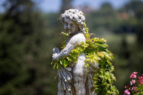 a statue of an angel with ivy on its back at Villa Cattani Stuart XVII secolo in Pesaro
