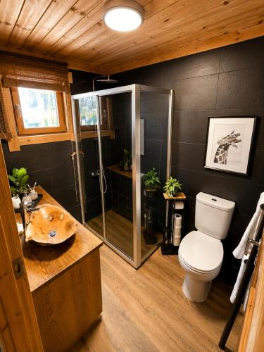 a bathroom with a toilet and a glass shower at Chalet O Refúgio 3 in Penhas da Saúde