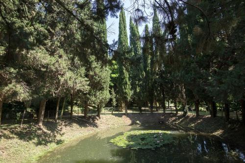a pond with lily pads in a park with trees at Villa Cattani Stuart XVII secolo in Pesaro