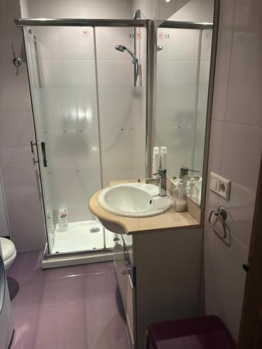 a bathroom with a sink and a shower at Plazacuervo in Pancorbo