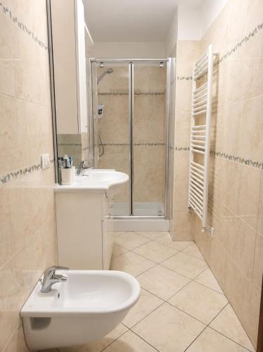 a bathroom with a sink and a shower at casa zanna bianca in Vione