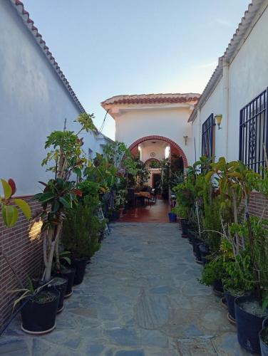 a courtyard of a house with potted plants at Casa Aguas Claras in Órgiva