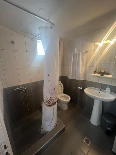 a bathroom with a shower and a toilet and a sink at Paulos&Mary Apartment in Flogita