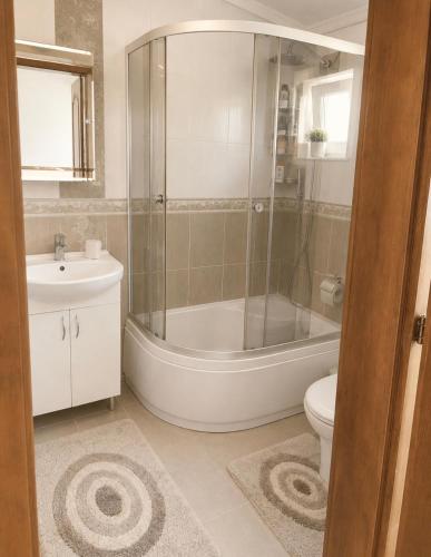 a bathroom with a shower and a toilet and a sink at Солочин Квітка Полонини Дом 63 in Solochyn