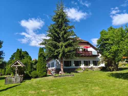a house with a pine tree in the yard at Pension Pumperle in Strážný