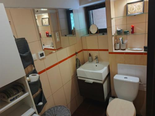 a small bathroom with a toilet and a sink at Chata Moniela in Drietoma