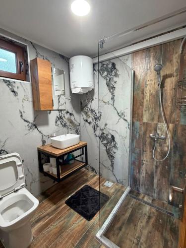 a bathroom with a shower and a toilet at Brvnare Sadba 