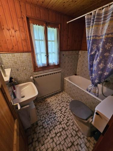a bathroom with a sink and a toilet and a tub at Chalet Bisse Neuf in Saint-Luc