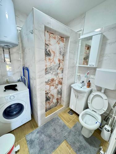 a bathroom with a toilet and a sink at A&A Durmitor Apartments in Žabljak