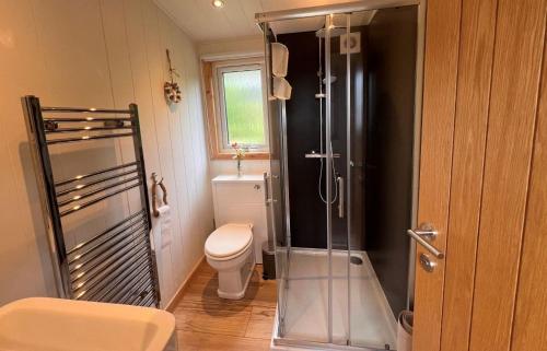 a bathroom with a toilet and a glass shower at Tiny Mara in Uig