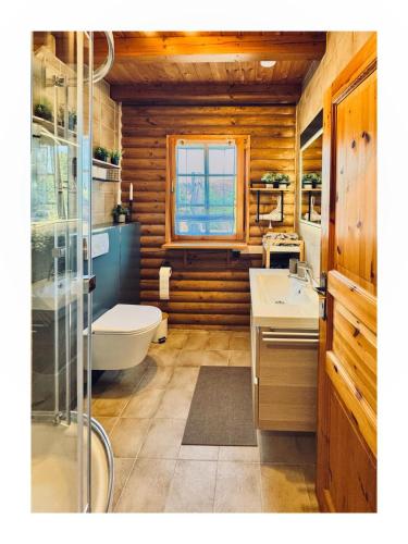 ein Badezimmer mit Toilette und Waschbecken in der Unterkunft Westerwald Lodge in Stahlhofen