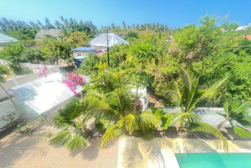Luftaufnahme eines Gartens mit Palmen in der Unterkunft Sabali Lodge, Zanzibar in Jambiani
