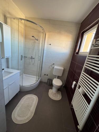 a bathroom with a shower and a toilet and a sink at Villa Ljubica in Pakoštane