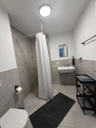 a bathroom with a shower and a toilet and a sink at FeWo Alissa in Nordrach