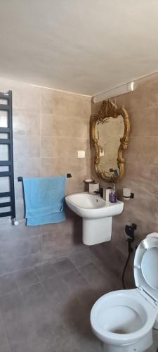 a bathroom with a toilet and a sink and a mirror at Dar HJAIJA in Hammamet