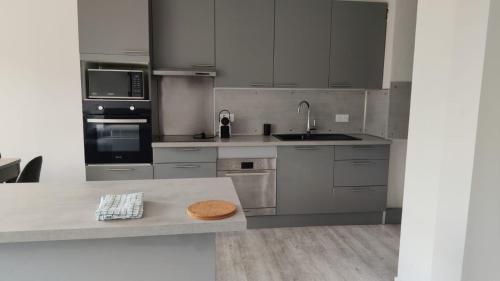 a kitchen with stainless steel appliances and a bowl on a counter at Appartement la Liberté in Albertville