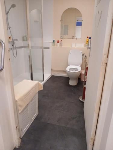 a bathroom with a toilet and a shower at Studio in Pontacq