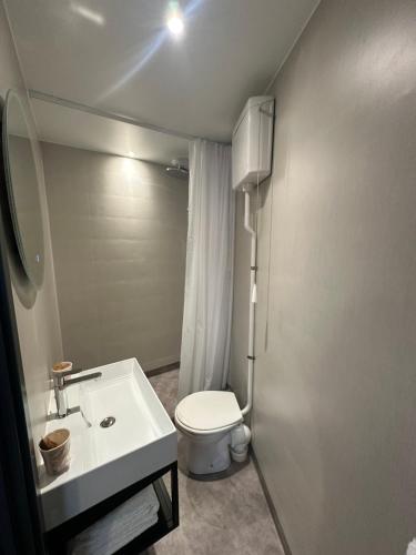 a bathroom with a white toilet and a sink at Dyke Hotel in Le Puy-en-Velay