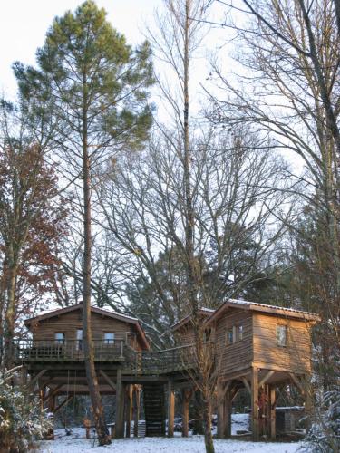 Les Cabanes du Tertre – Photos 3