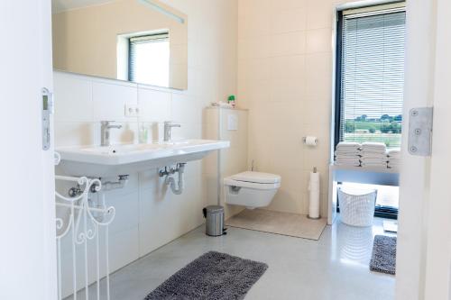 ein Badezimmer mit Waschbecken und Toilette in der Unterkunft Landlord bij Leuven in Holsbeek