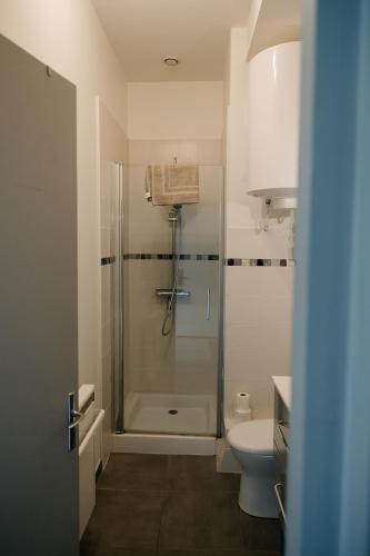 a bathroom with a shower and a toilet at Studio élégant, central, pour 2 personnes in Pornic