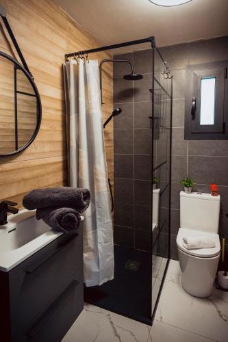 a bathroom with a shower and a toilet and a sink at A Constanza Portecelo in Rosal
