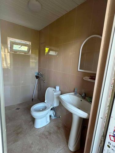 a bathroom with a toilet and a sink at Cozy home racha in Ambrolauri