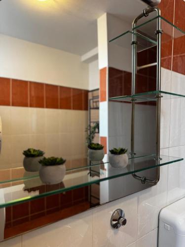 Apartman Vito 2