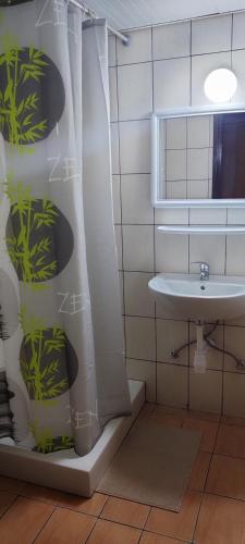 a bathroom with a shower curtain and a sink at PetroLithos Traditional Suites in Agros
