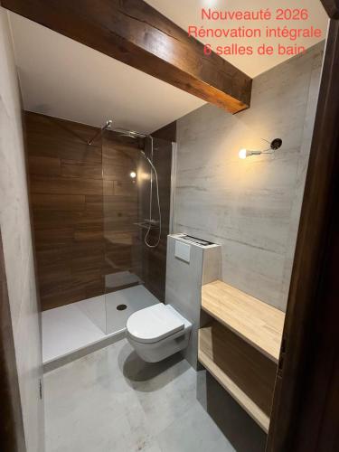 a small bathroom with a toilet and a shower at Très spacieux chalet rénové été 2026 - 14 personnes coeur de village 150 m des pistes - in Montgenèvre