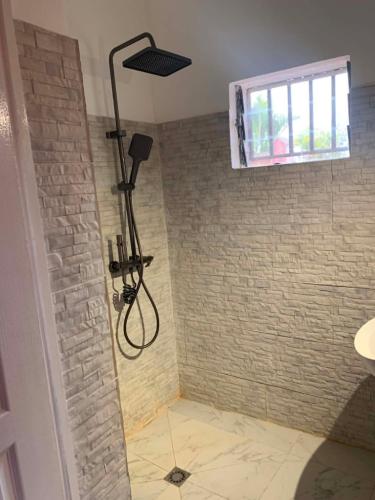 a shower in a bathroom with a brick wall at Appartements Andrian Location in Antananarivo