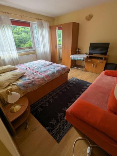 a bedroom with a bed and a couch and a television at Vila lui Simion in Rimetea