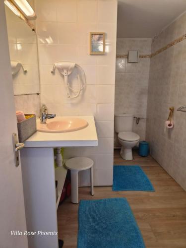 a bathroom with a sink and a toilet at Rose Phœnix rez-de-jardin piscine et vue mer in Les Anses-dʼArlets