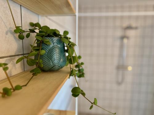 a green vase sitting on a shelf with a plant at Hostel Agger Vandrerhjem in Agger