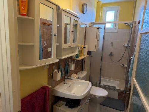 a bathroom with a sink and a toilet and a shower at chambre d hotes chez josiane in Mayenne
