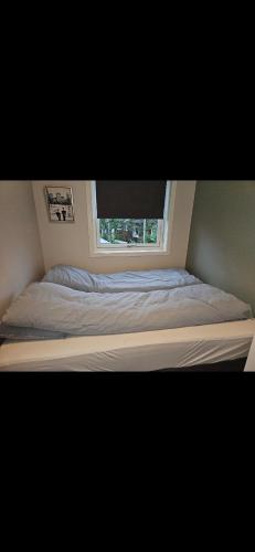 a bed with a window in a bedroom at LØVEHAUGEn in Trondalen