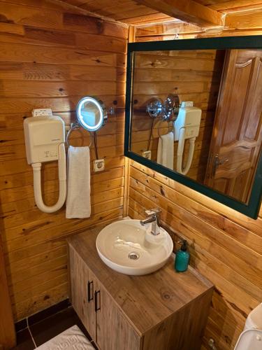 a bathroom with a sink and a mirror at Adrasan blue bay hotel in Kumluca