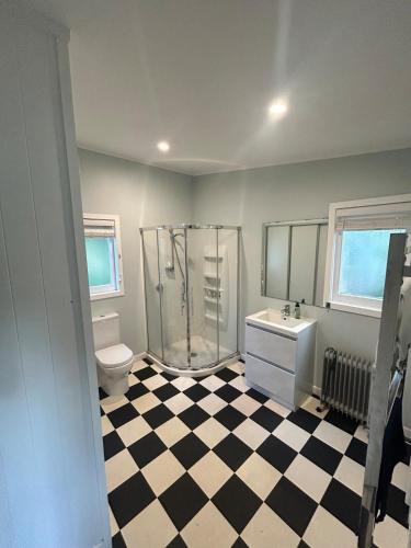 a bathroom with a shower and a toilet and a sink at Oneroa Manuka Residence in Waiheke Island