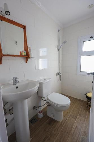 a white bathroom with a toilet and a sink at Three pyramids Dahabiya in Esna