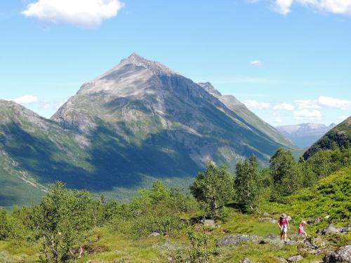 Gambar di galeri bagi Tindelykke di Isfjorden