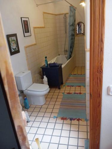 a bathroom with a toilet and a tub and a sink at Casaroc in Sella