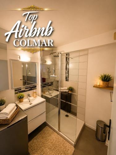 Coup de cœur à Colmar Appartement en plein centre